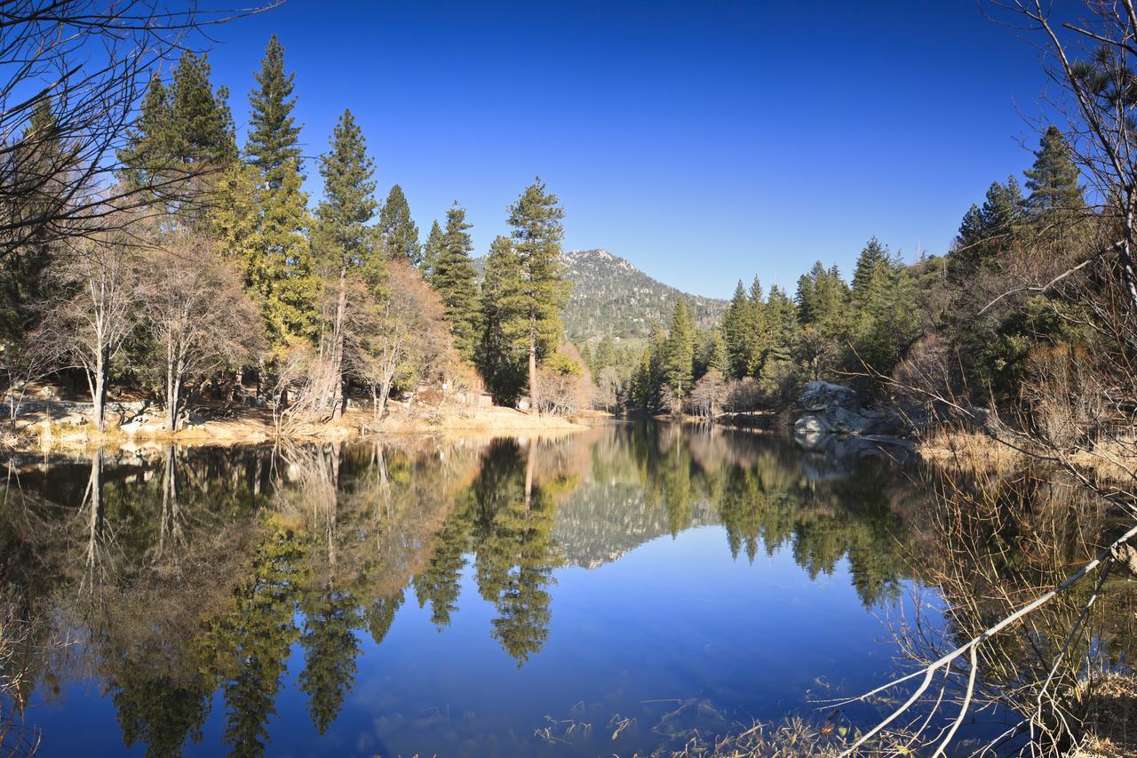 Вилла Idyllwild Bunkhouse Экстерьер фото
